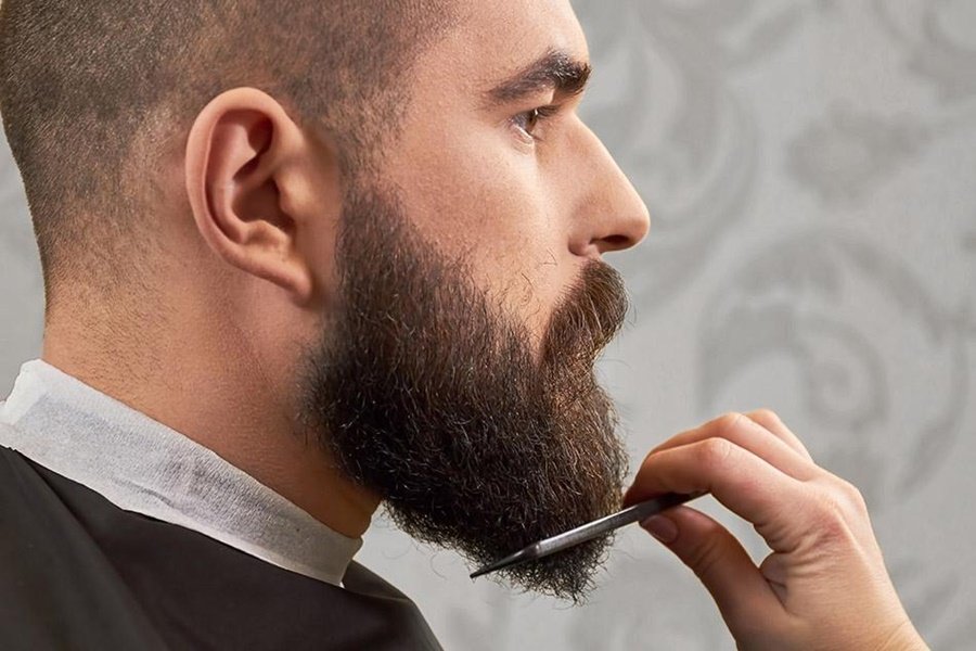 Estudo aponta que homens com barba têm mais germes do que cachorros - Agora  MT